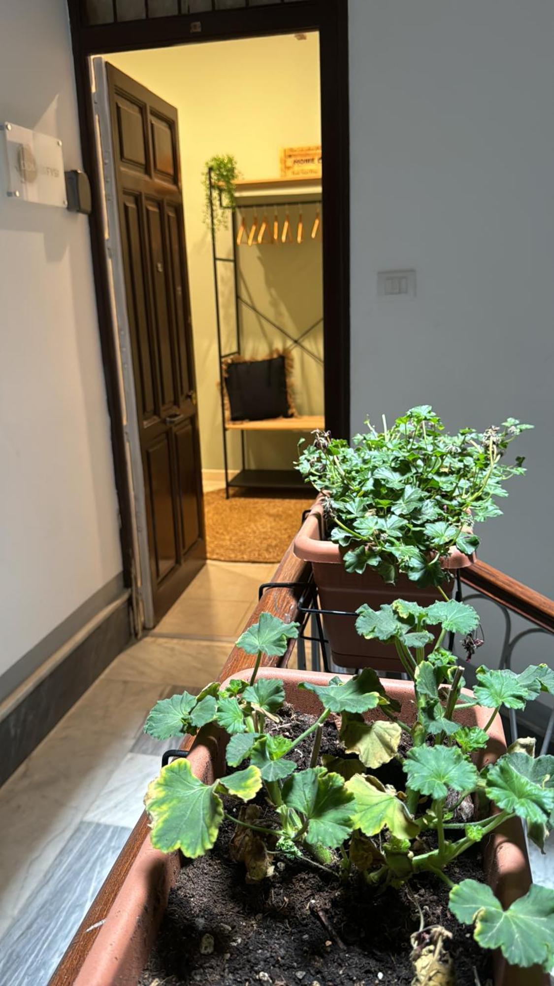 Domus Fysi Hotel Palermo Kültér fotó